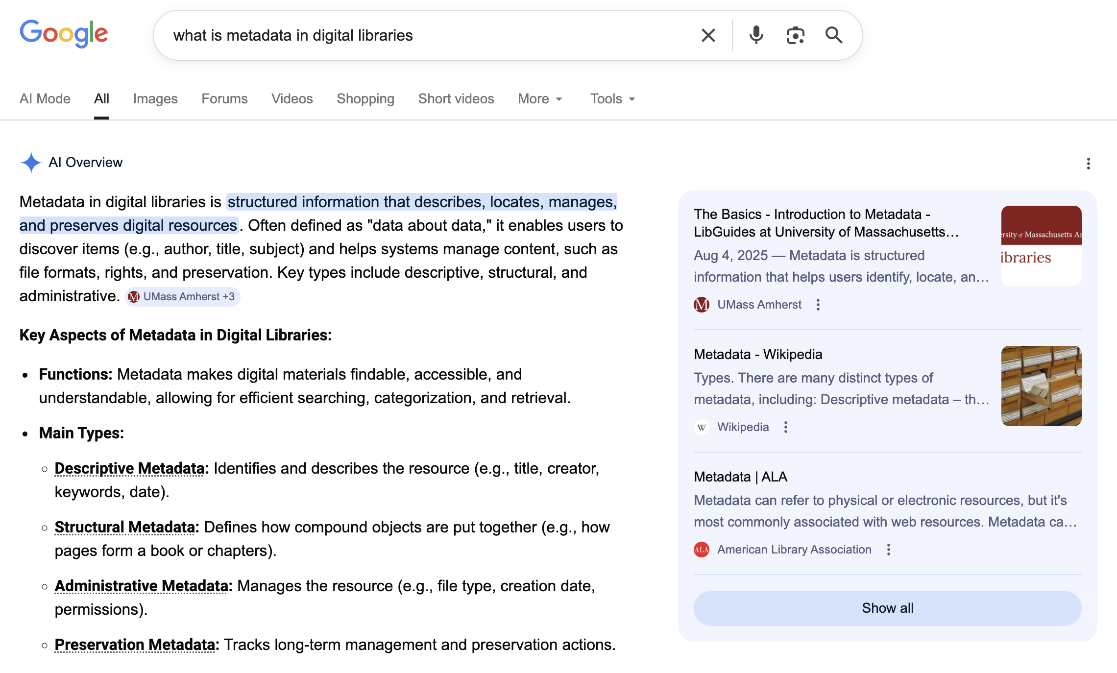 Google AI overview example